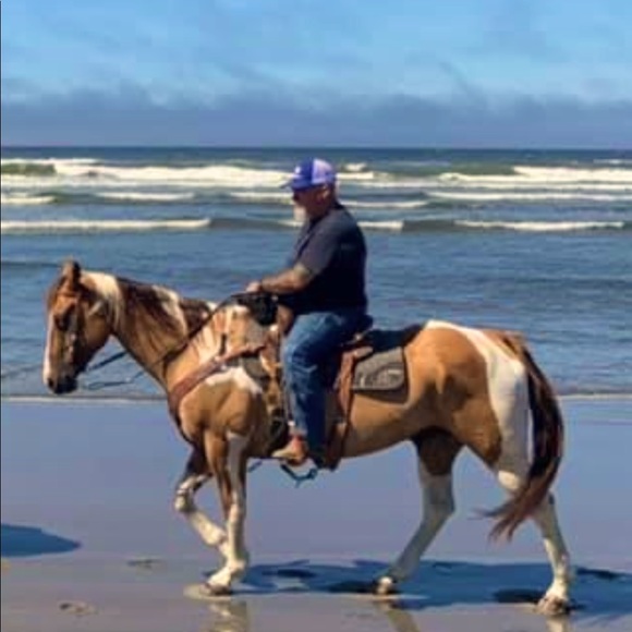 Meet your Posher, Jon - Picture 1 of 1